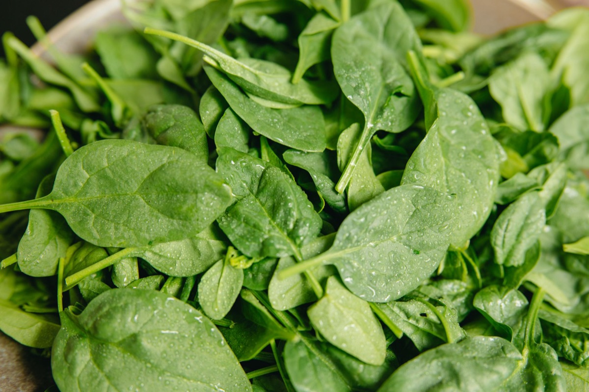 Spinach leaf with vitamin k label