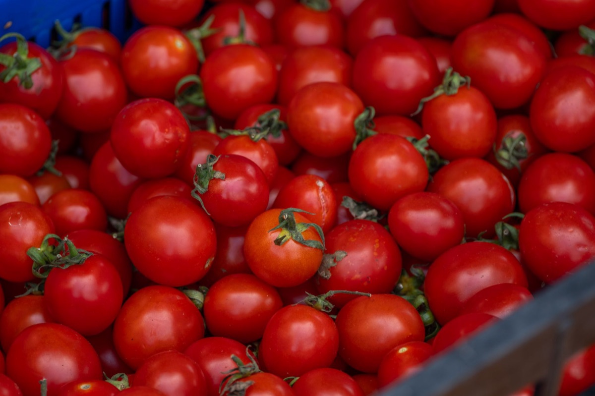 tomate cherry