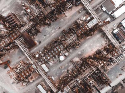 Gezonde vetten: De rol van MUFA's voor celopbouw en energie