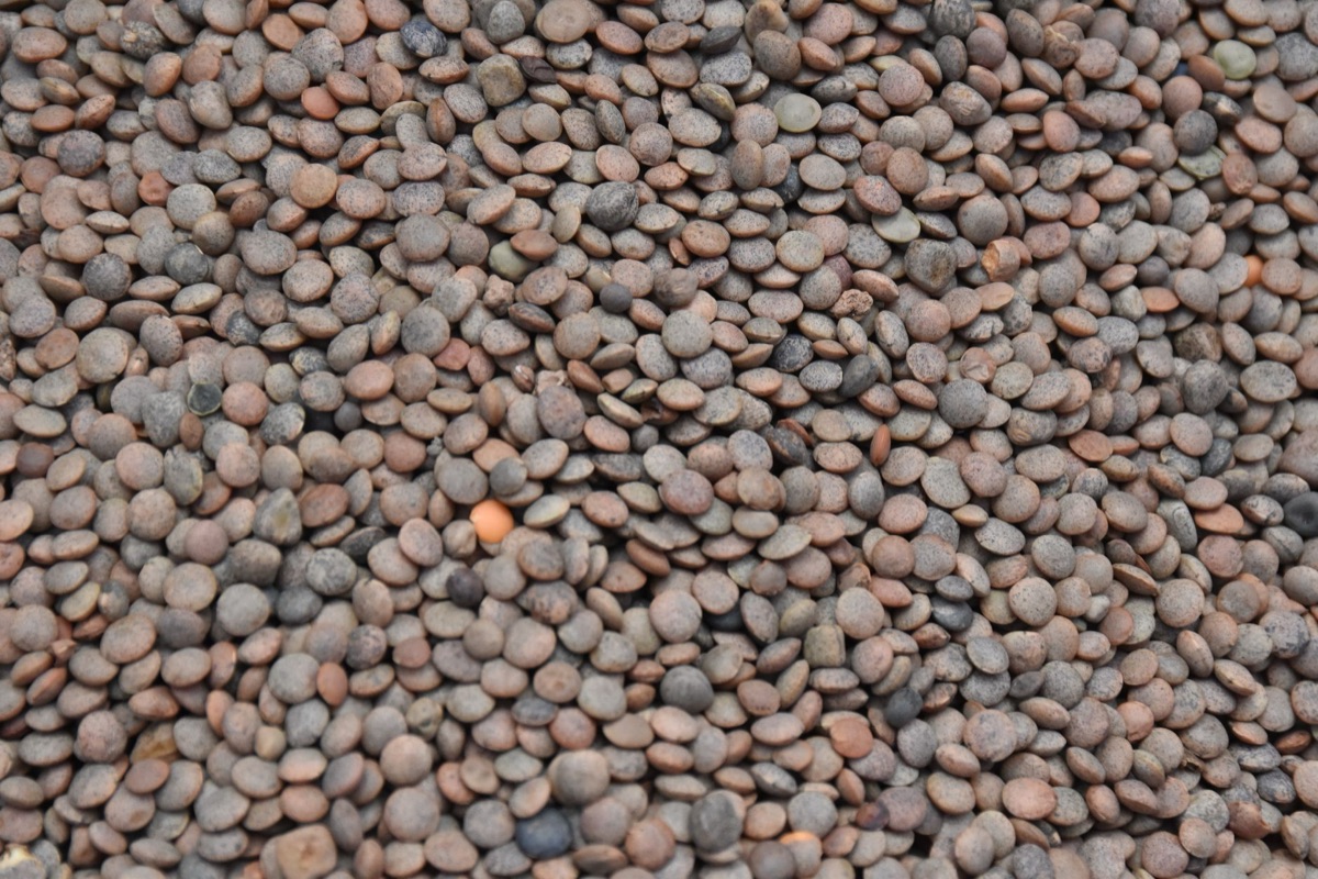 powder de proteína de lentil com embalagem orgânica
