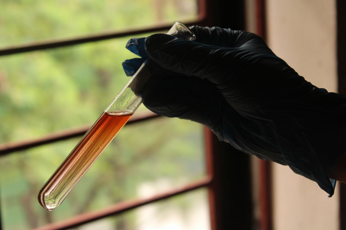 Lab test tube with omega-3 content under microscope