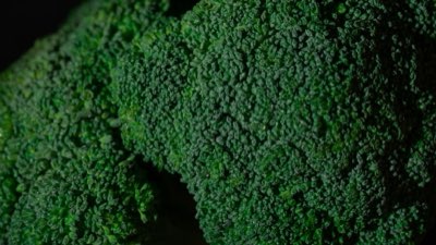 Kreuzblütler-Kraft: Glucosinolate zu Sulforaphan umwandeln