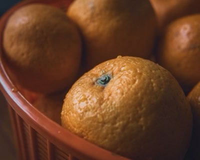 ニュートリスコアの真実：Aランク製品の裏側にある栄養の計算式
