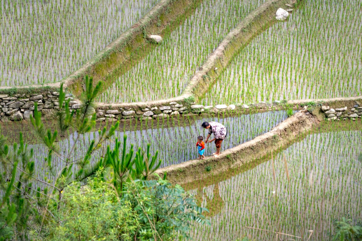 niño sostiene tazón de arroz en filipinas rurales
