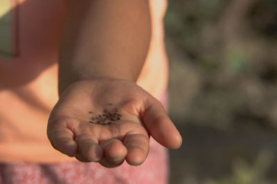 Nutriban: 80 anni di scienza per combattere la carenza infantile