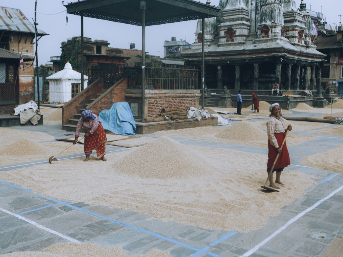 Historischer Nepalischer Reisbau
