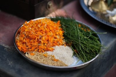 Descubra Kalanamak: O Grão com Sabor e Minerais do Nepal