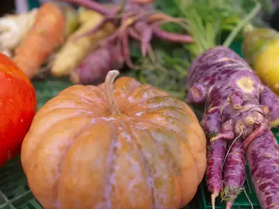 Verdure autunnali: migliori consigli per conservazione 20