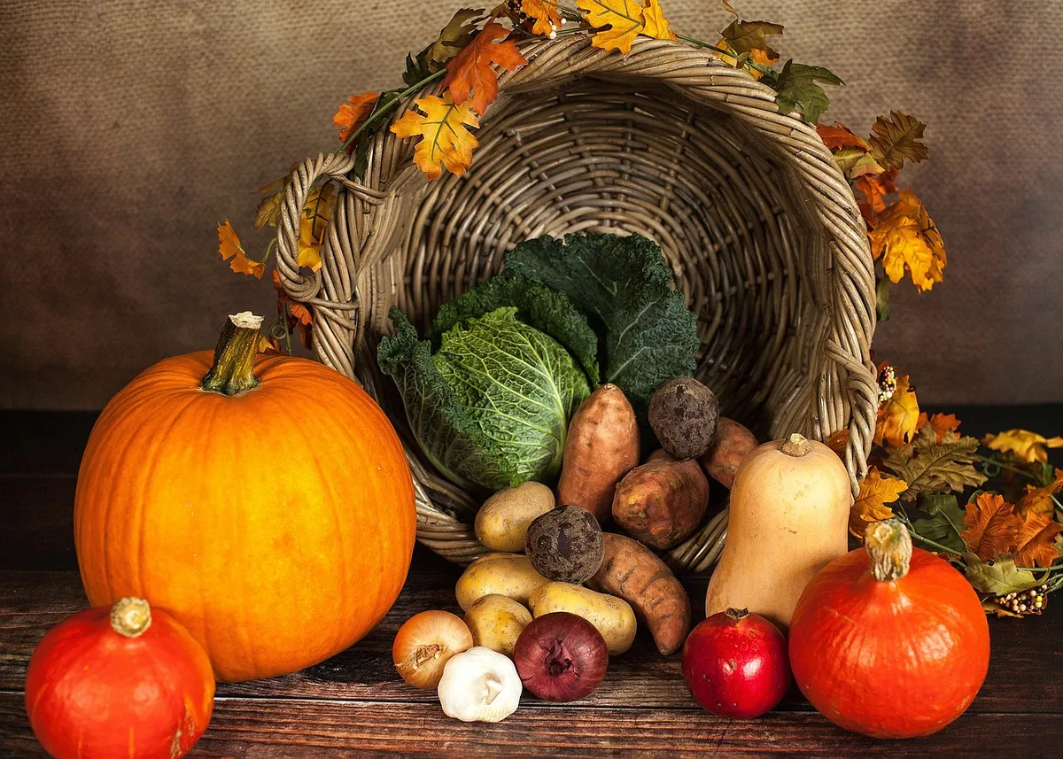 pumpkin, vegetables, autumn, basket, vegetable basket, raw, raw vegetables, harvest, produce, organic, fresh, still life, thanksgiving basket, thanksgiving, oct