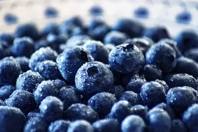 Alimentos nutritivos análisis clave para entender la salud global